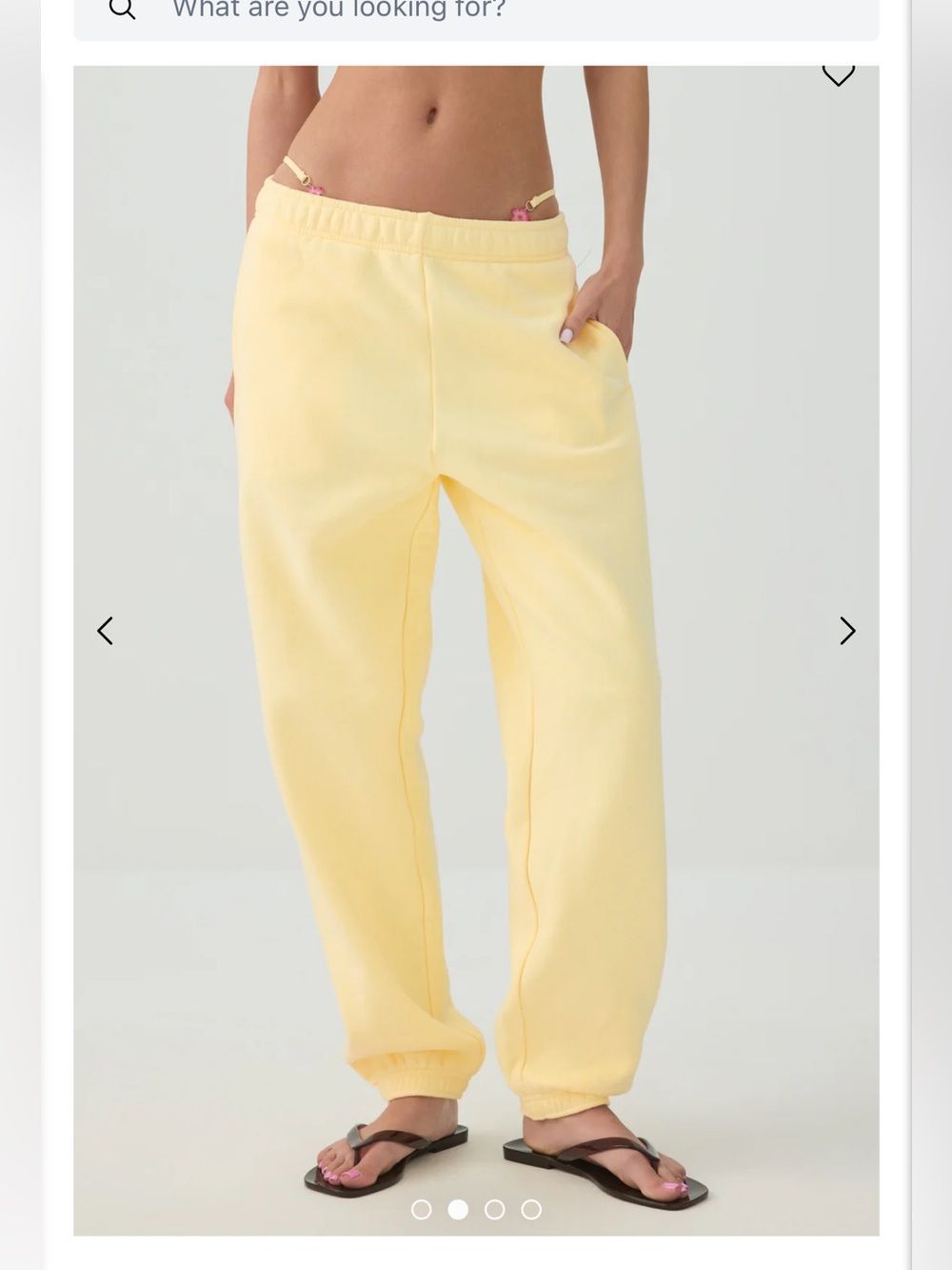BNWT Ardene Sweatpants